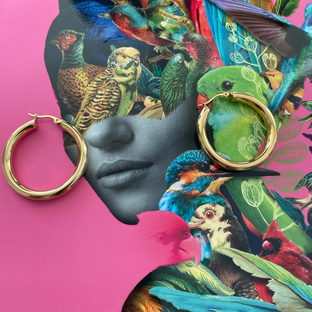 Chic Hoops - Picture 2 of 3